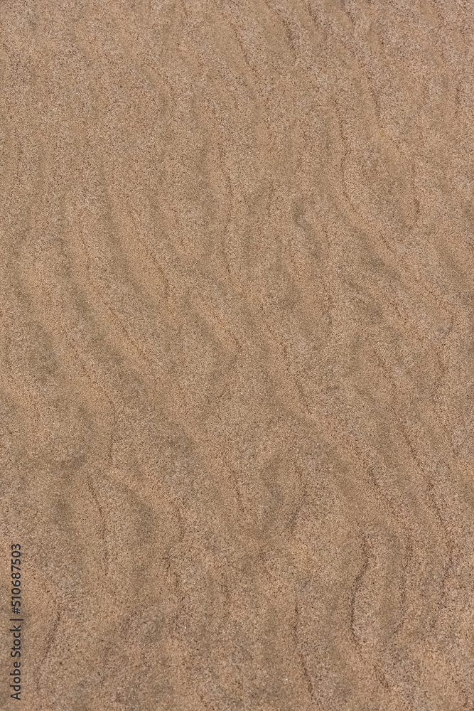 Namibia, the Namib desert, graphic landscape of yellow dunes, background
Namibia, the Namib desert, graphic landscape of yellow dunes, background