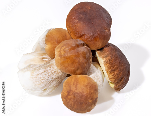 isolated group of penny buns with light shadow