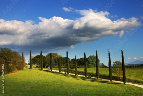 Typical summer landscape in Tuscany, Italy, Europe