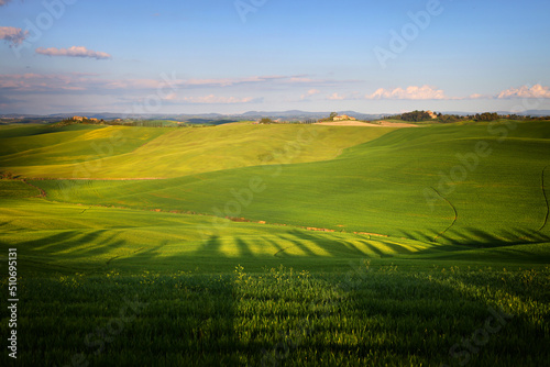Summer rural landscape of rolling hills in Tuscany, Italy, Europe