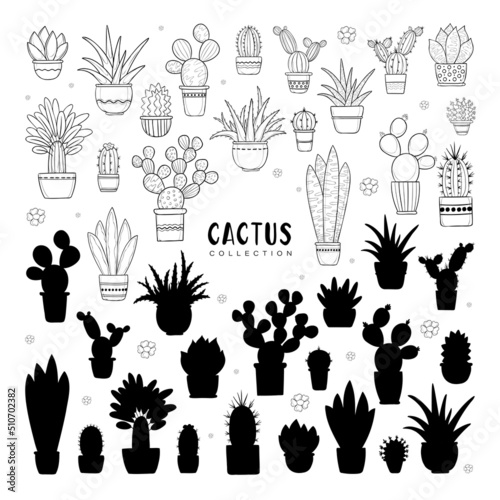 Vector set of cacti in decorative flower pots with ornaments, succulents and ficus p;ants, black outlines and silhuettes isolated on white background. Different shapes and size of aloe and cactus