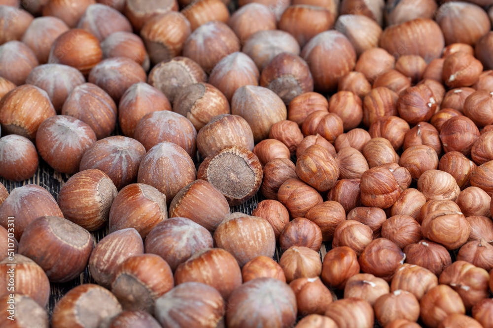 a pile of harvested hazelnuts on the table a pile of harvested hazelnuts on the table