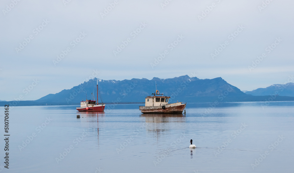 Dos barcas en el mar calmado con grandes montañas de fondo y un cisne de cuello negro nadando en las azules aguas del mar, cielo nublado 