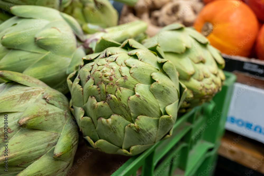 Obraz premium Heads of fresh organic artichoke flowers, edible vegetables green artichokes