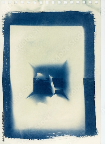 cyanotype texture paper image background photogram