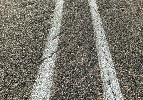 White road markings close-up on gray asphalt.