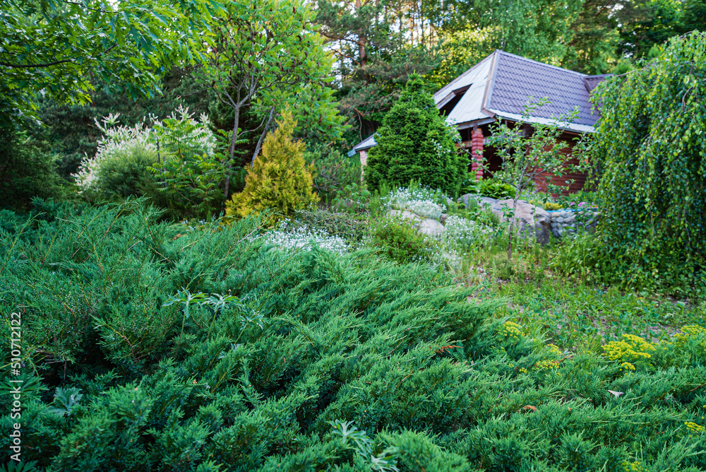 spring garden with different plants spring garden with different plants