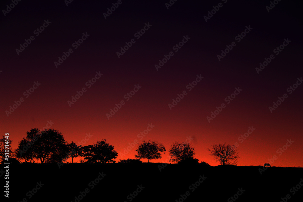 Sunset with the shade of trees