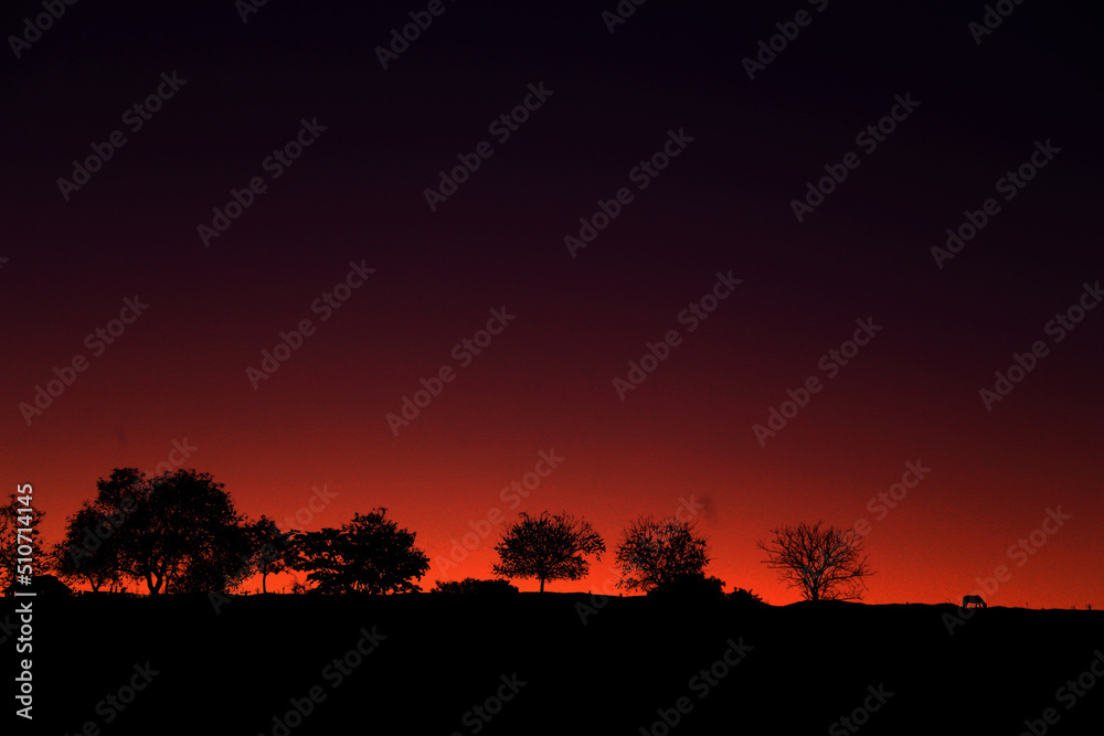 Sunset with the shade of trees Sunset with the shade of trees