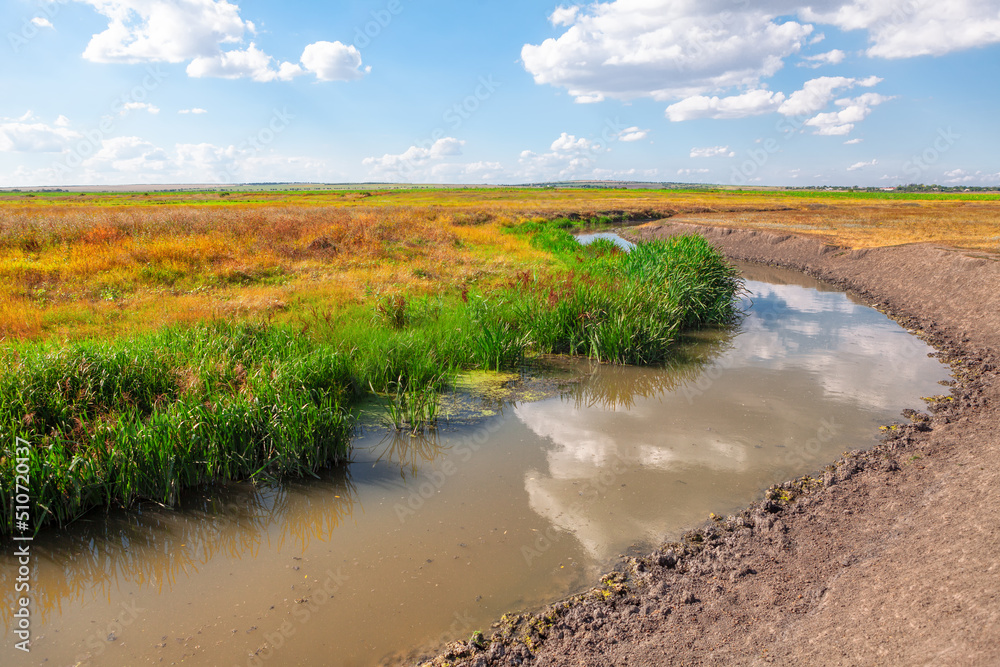 Small river with muddy water . Dirty river shore Small river with muddy water . Dirty river shore