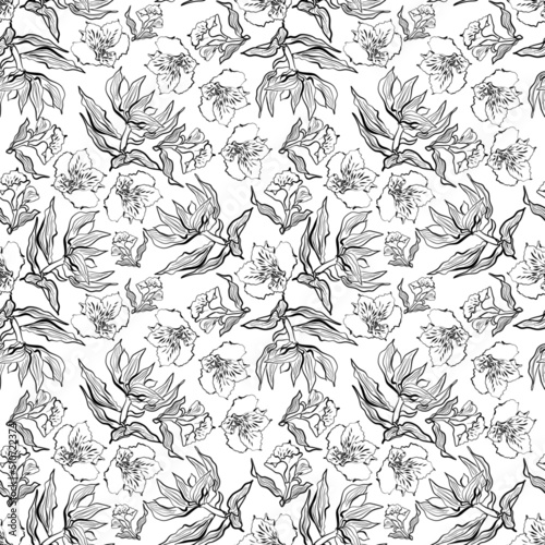 Seamless floral pattern with alstroemerias flowers in doodle technique vector illustration 