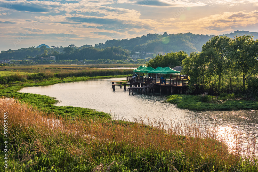 맑은 물이 흐르는 하천, 순천만 주변 Stock Photo | Adobe Stock