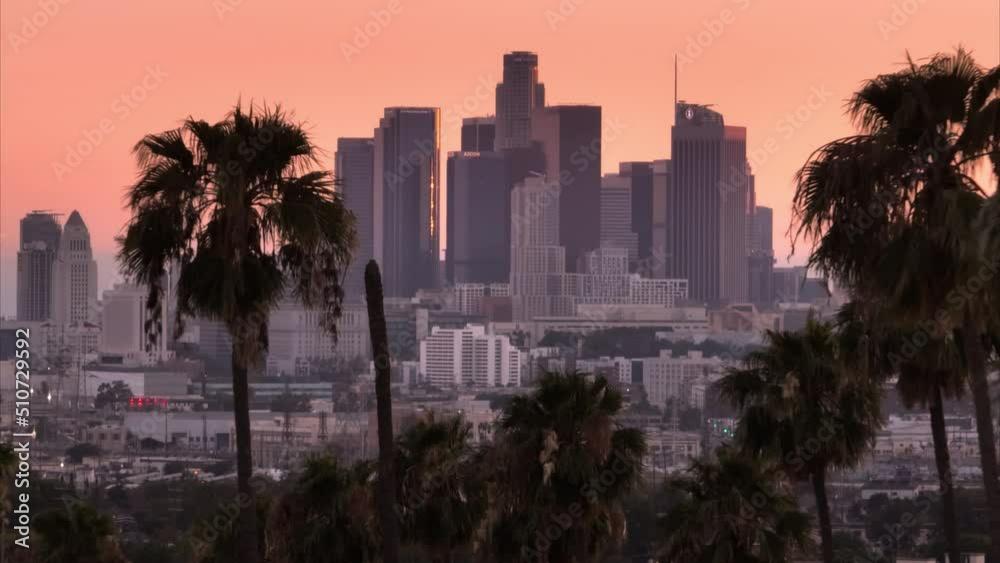 Epic Los Angeles downtown view on pink cinematic sunset, Drone flying between dark tall palm trees on evening. Aerial skyscraper buildings seen in distance with palms on foreground with pink sky USA