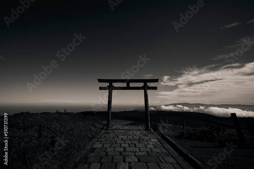 鳥居 神の領域 神秘的 空間 時間 未来 美しさ 階段 昇る 瞑想 和風 日本 光 箱根 
