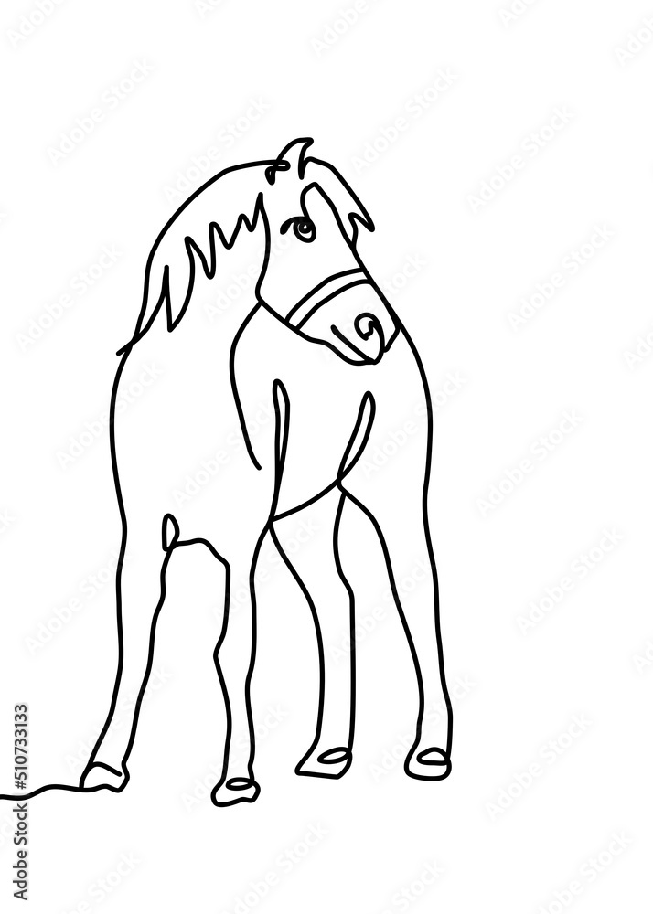 continuous line drawing - horse continuous line drawing - horse