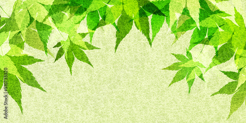 新緑　もみじ　葉　背景