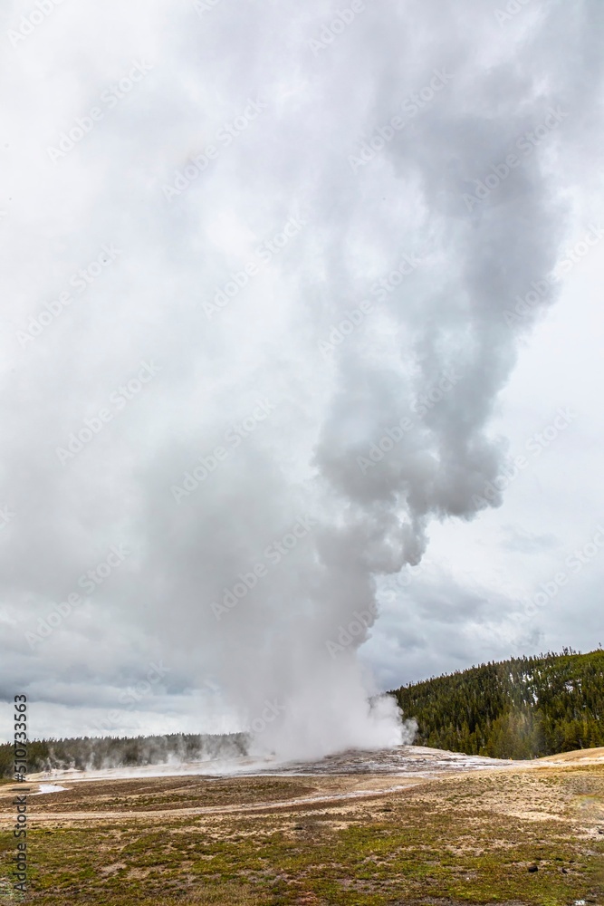 old faithful geyser sprouting at a winter day in Yellow stone national park