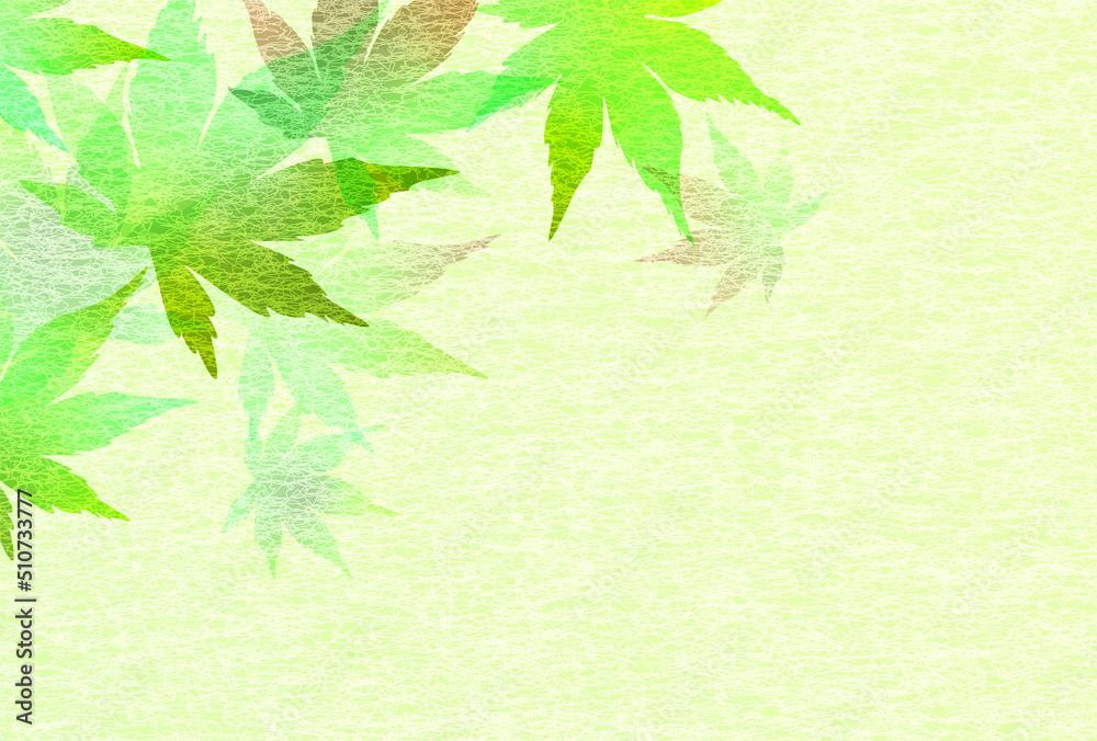 新緑 もみじ 葉 背景 新緑 もみじ 葉 背景