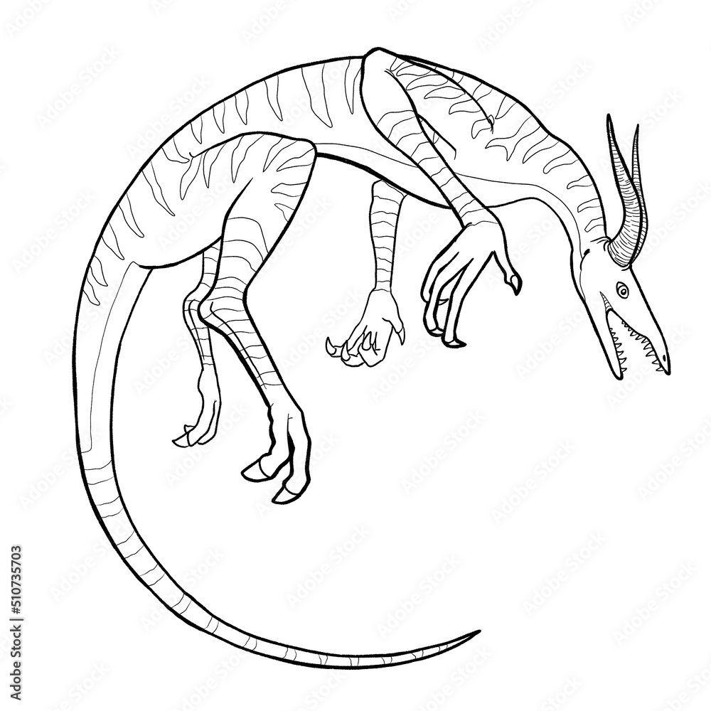 Obraz premium Black and white coloring page ink illustration of a dragon.