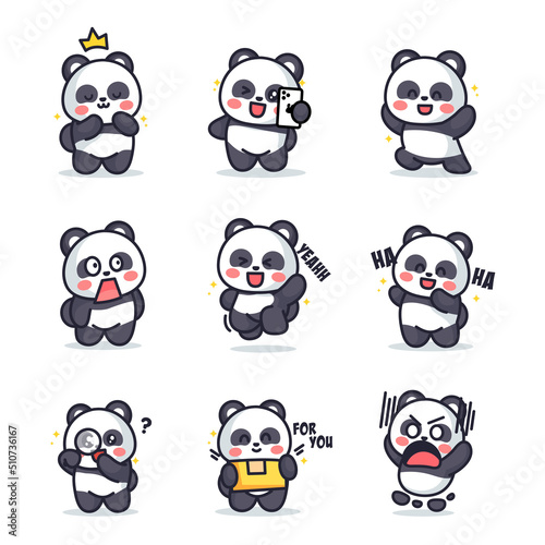 panda is posing cute and adorable