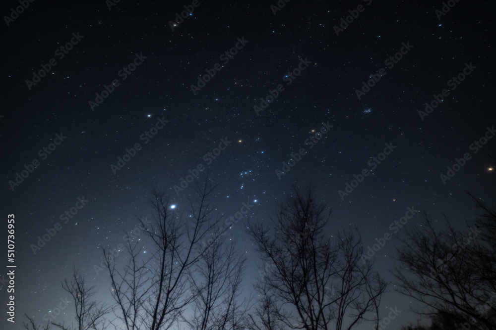 Naklejka premium night sky with stars 凍えるような寒い夜に南の空に昇る冬の大三角