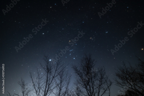 night sky with stars 凍えるような寒い夜に南の空に昇る冬の大三角 © noguchibiyousitu