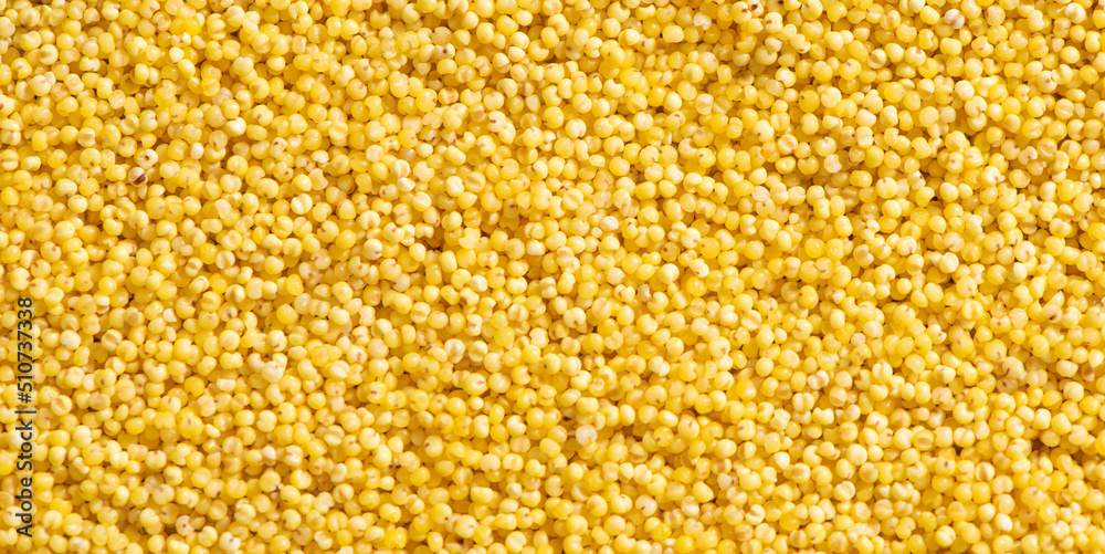 Raw dry millet texture background