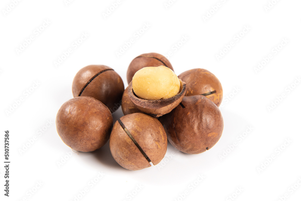 Macadamia nuts isolated on white background,Clipping path. Macadamia nuts isolated on white background,Clipping path.