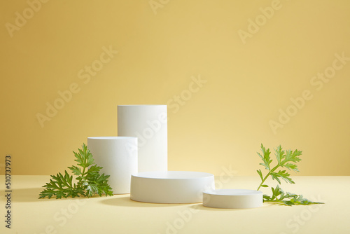 Wallpaper Mural Front view of transparent podium with laboratory equipment and mugwort in beige background science content Torontodigital.ca