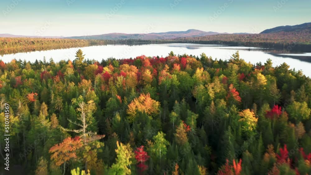 Epic drone flight above scenic lake with still water surface. Beautiful fall landscape background with text space. Colorful vibrant autumn forest with bright yellow red orange green leaves tree tops