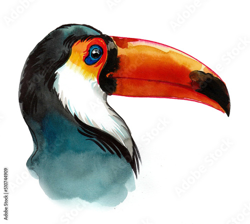 Fotografiet Toucan bird head. Ink and watercolor drawing