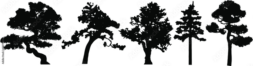 Vector silhouette of tree. Isolated eps 10.