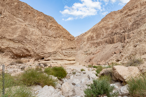 Dry river bed passing through the stone desert near the Khatsatson stream, on the Israeli side of the Dead Sea, near Jerusalem in Israel