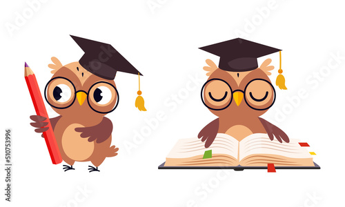 Cute Owl in Glasses in Graduation Hat Reading Book and Holding Pencil Vector Set