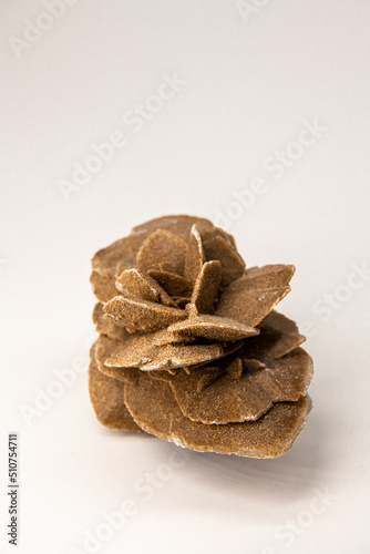 Vertical image with copy space for text of the Selenit mineral, gypsum flower, desert rose or satin spar isolated on white, souvenir from the Gobi desert shot from the profile angle photo