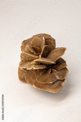 Selenit mineral, gypsum flower, desert rose or satin spar isolated on white, souvenir from the Gobi desert, vertical profile picture of the mineral from China, background photo