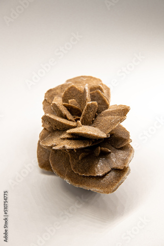 Profile angle of the selenit mineral, gypsum flower, desert rose or satin spar isolated on white, souvenir from the Gobi desert, vertical image with copy space for text photo