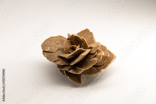 Horizontal image of the Selenit mineral, gypsum flower, desert rose or satin spar isolated on white, souvenir from the Gobi desert, collection photo