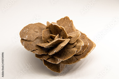 Horizontal close up shot of the selenit mineral, gypsum flower, desert rose or satin spar isolated on white, souvenir from the Gobi desert, copy space for text photo