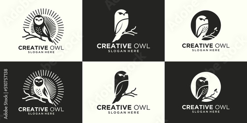 owl logo design set, owl logo vector icon, simple and creative owl logo design vector