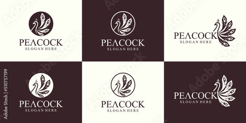 peacock line art logo in luxury style, vector Peacock Logo design, template.