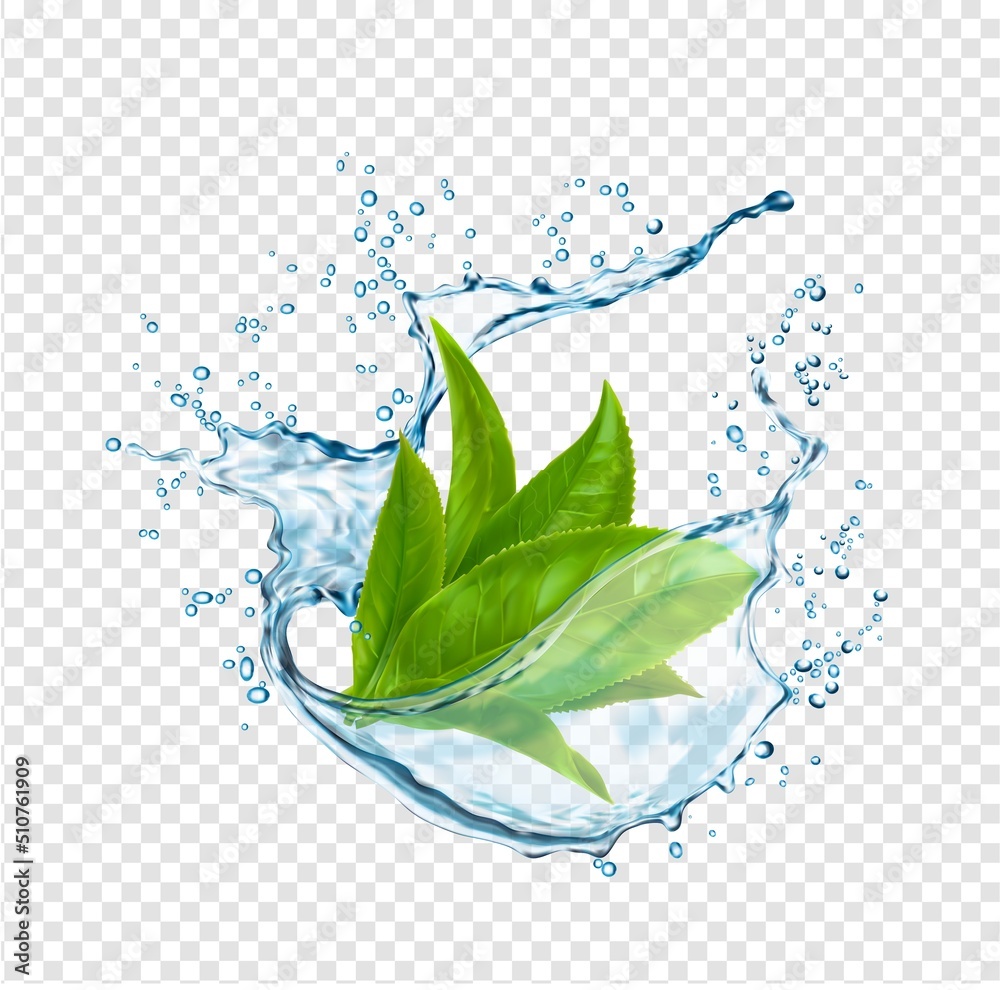 Vettoriale Stock Green tea leaves in water splash, herbal drink wave