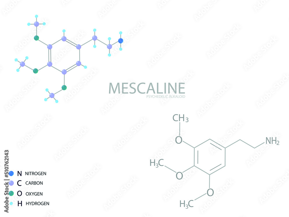 Mescaline molecular skeletal 3D chemical formula. Mescaline molecular skeletal 3D chemical formula.