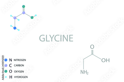 Glycine molecular skeletal 3D chemical formula.	