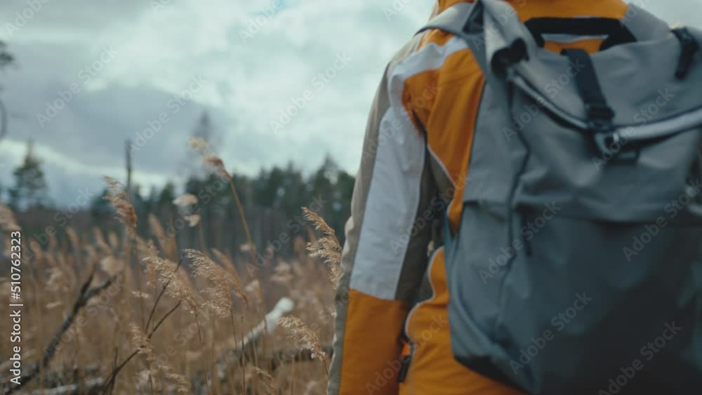 Woman hiker stops on meadow with tall grass while walking in nature on cold, windy autumn day