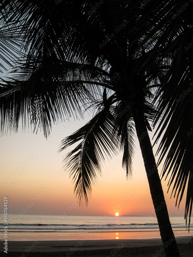 Costa Rica plage ocean palmier ocean environnement climat soleil planete