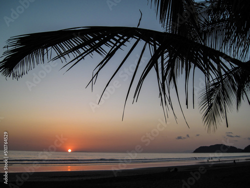 Costa Rica plage ocean palmier ocean environnement climat soleil planete