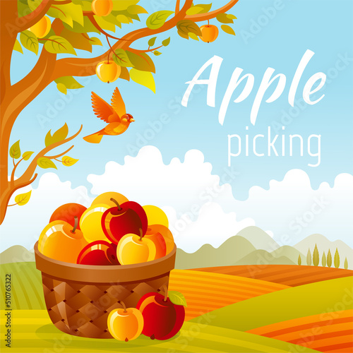 Apple basket in orchard. Fruit farm vector. Apple picking in fall garden vector. Cartoon agriculture harvest landscape with autumn tree and basket. Vintage summer or fall landscape with quote