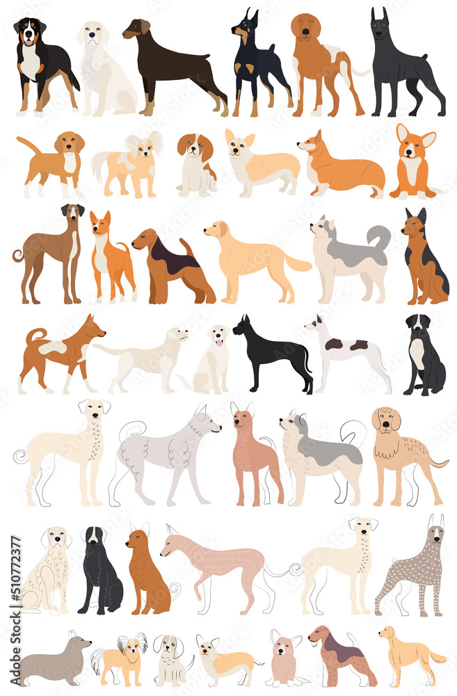 dogs set in flat design, isolated on white background vector