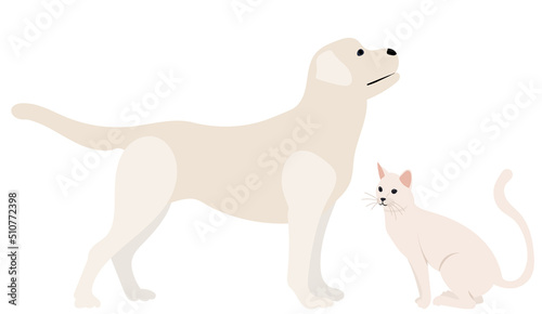 dog and cat in flat design, isolated on white background